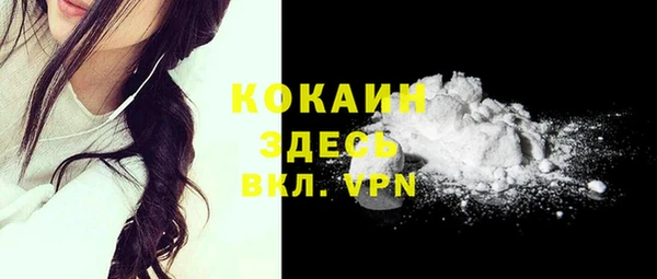 молекула духа Лабытнанги