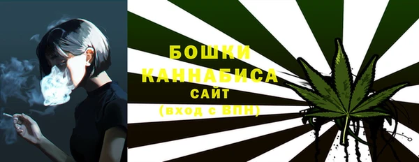 спиды Лагань