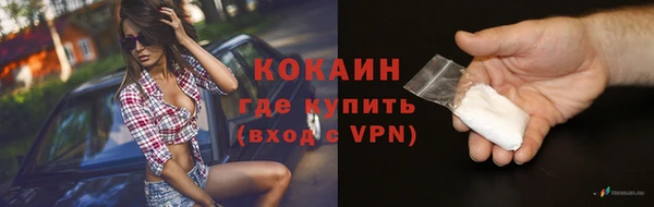 молекула духа Лабытнанги