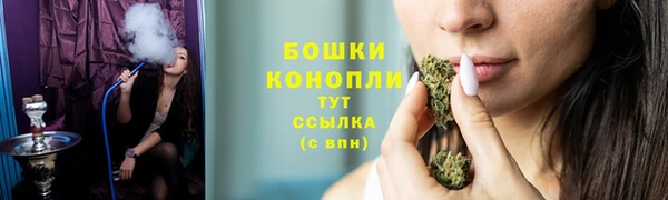 спиды Лагань