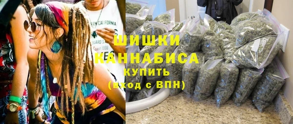 молекула духа Лабытнанги