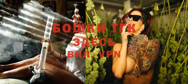 молекула духа Лабытнанги