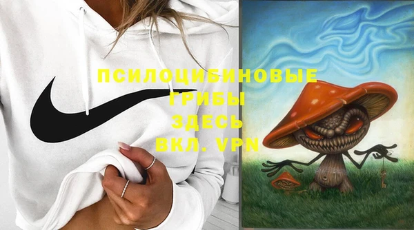 спиды Лагань